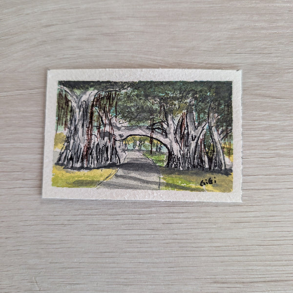 small painting of a banyan tree 